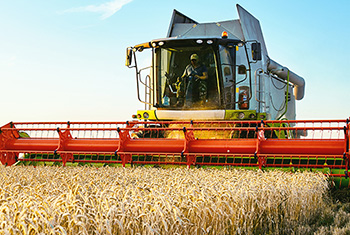 Agrichemicals and fertilisers legal advisory India
