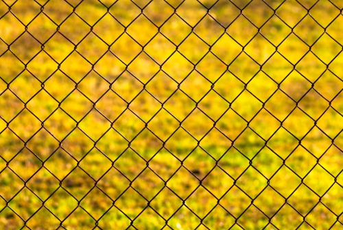 Trilegal advised Mallinckrodt in a strategic merger with Endo, valued at USD 6.7 billion